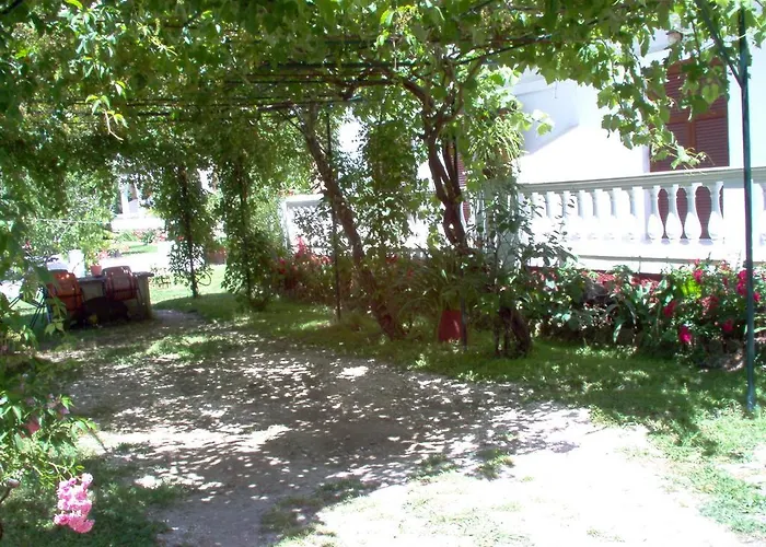 Alexandros * Mesongí